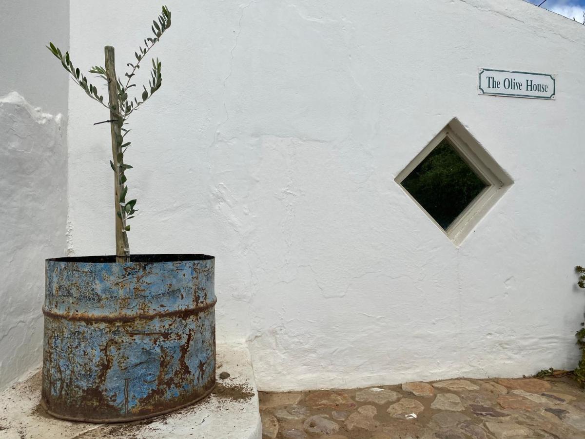 The Olive House, Prince Albert Exterior photo