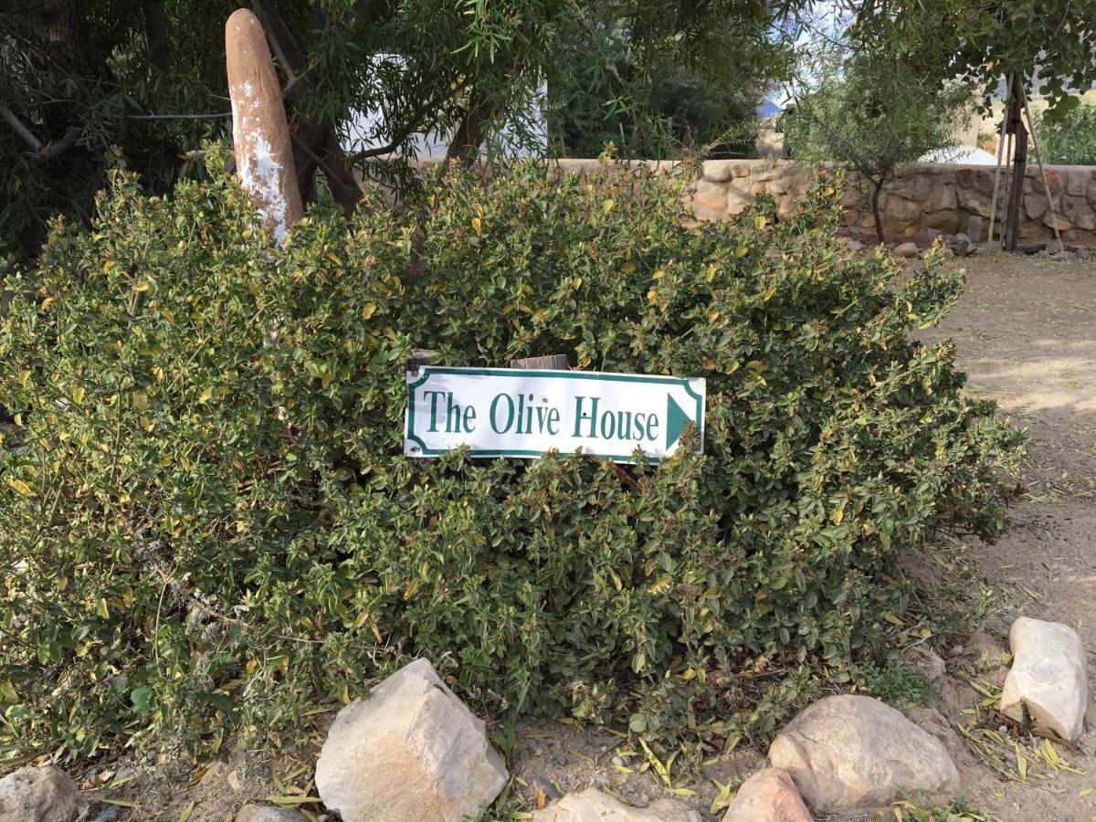 The Olive House, Prince Albert Exterior photo